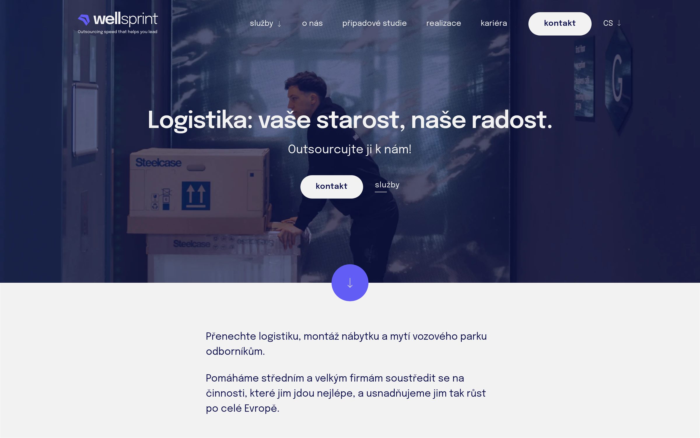 Náhled webu Wellsprint